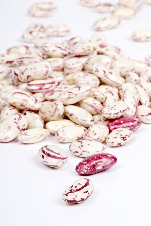 Gepelde Romano bonen royalty-vrije stock fotografie