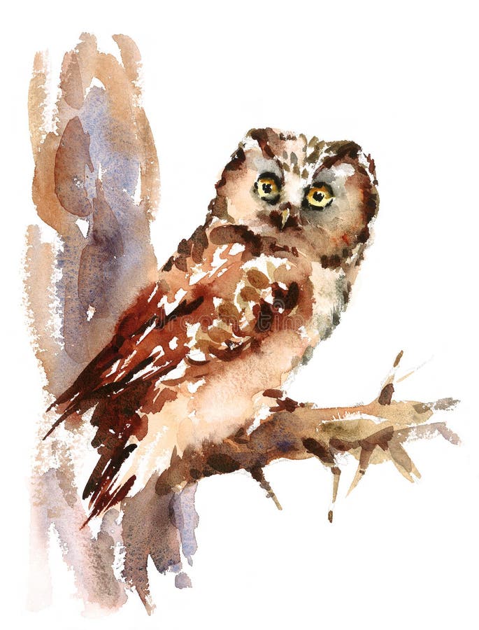 Geschilderd Owl Watercolor Bird Illustration Hand stock illustratie Geschilderd Owl Watercolor Bird Illustration Hand stock illustratie