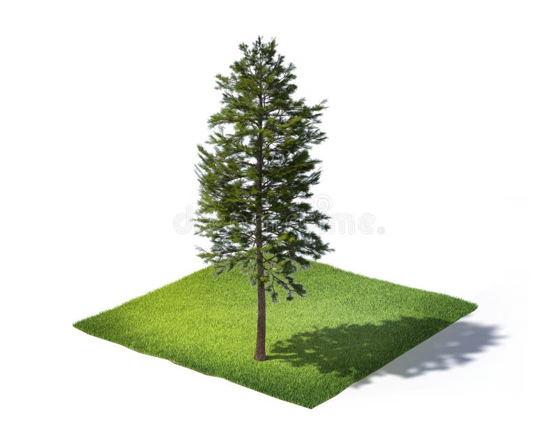 3d rendered illustration of sliced ground with grass and tree isolated on white background. 3d rendered illustration of sliced ground with grass and tree isolated on white background