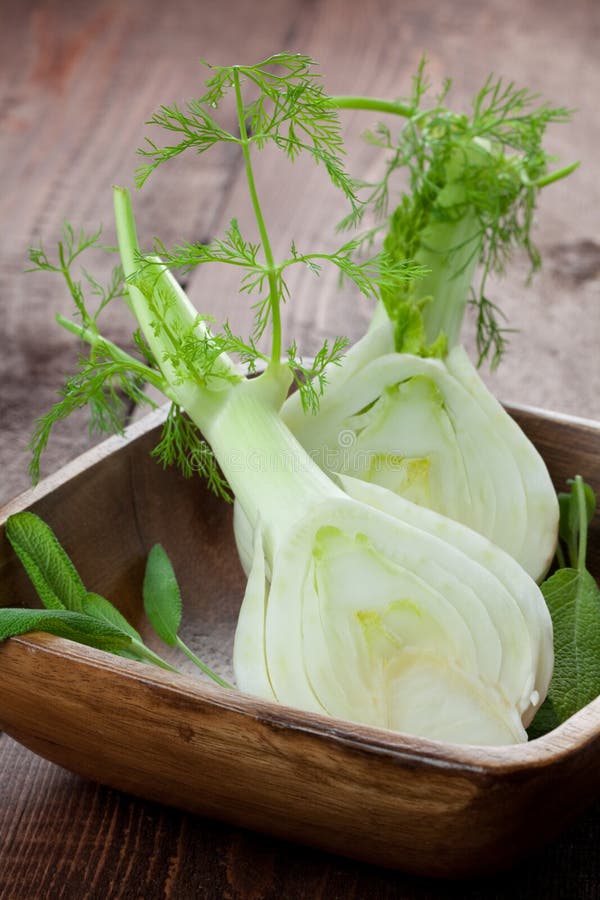Geschnittener Fenchel lizenzfreies stockbild Geschnittener Fenchel lizenzfreies stockbild
