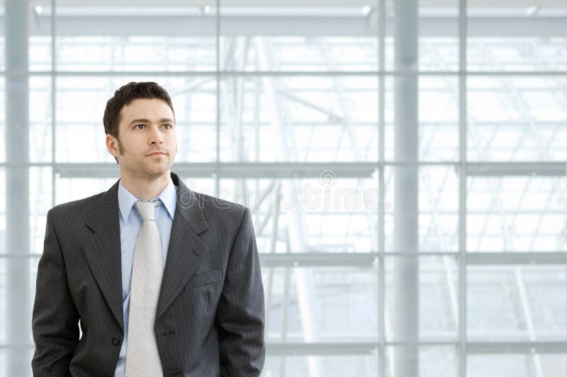 Portrait of businessman wearing grey suit and blue shirt, standing in front of windows in office lobby, looking ahead seriously. Portrait of businessman wearing grey suit and blue shirt, standing in front of windows in office lobby, looking ahead seriously.