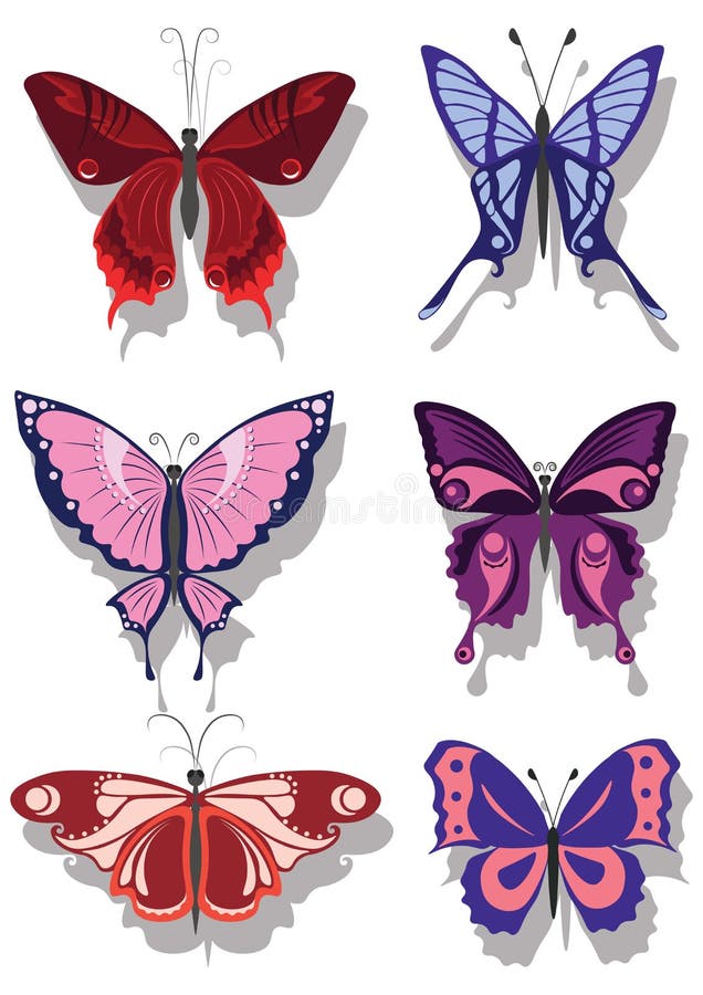 Gesetzte bunte Sammlung des Schmetterlinges