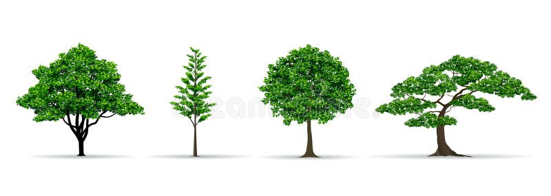 Gesetzte realistische Vektorillustration des Baums lizenzfreie abbildung Gesetzte realistische Vektorillustration des Baums lizenzfreie abbildung