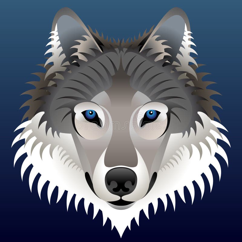 Download Gesicht Des Realistischen Wolfs Vektor Abbildung - Illustration von fauna, auge: 26353679