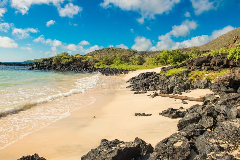 Gestalten Sie Ansicht des Strandes an Punta-Kormoran, Galapagos landschaftlich