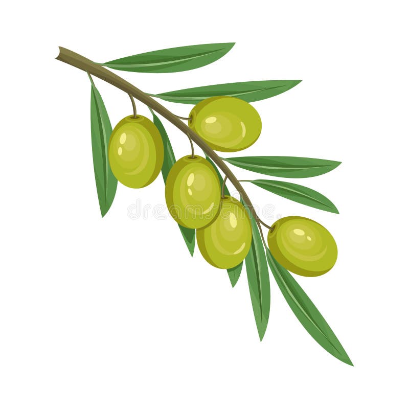 Gestaltungselement für Olivenbeeren oder Früchte. lizenzfreie abbildung
