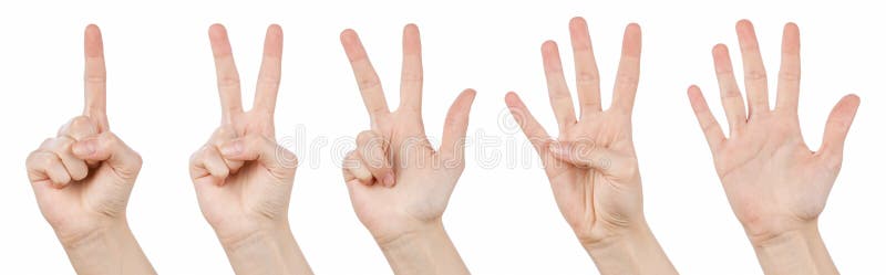 Gesti di mano che contano 1 - 5 fotografie stock Gesti di mano che contano 1 - 5 fotografie stock