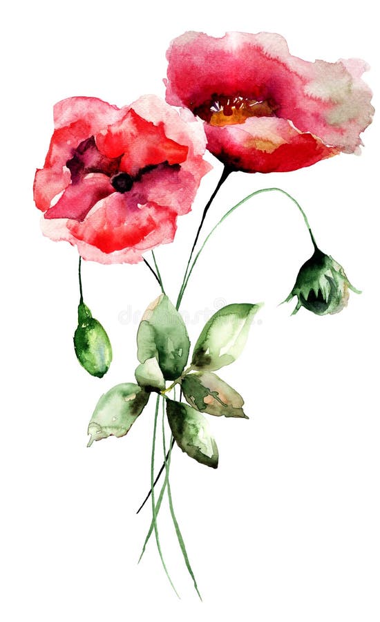 Stylized Poppy flowers, watercolor illustration. Stylized Poppy flowers, watercolor illustration