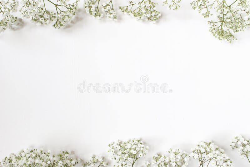 Gestileerde voorraadfoto De vrouwelijke huwelijksdesktop met baby` s adem Gypsophila bloeit op witte achtergrond Lege ruimte