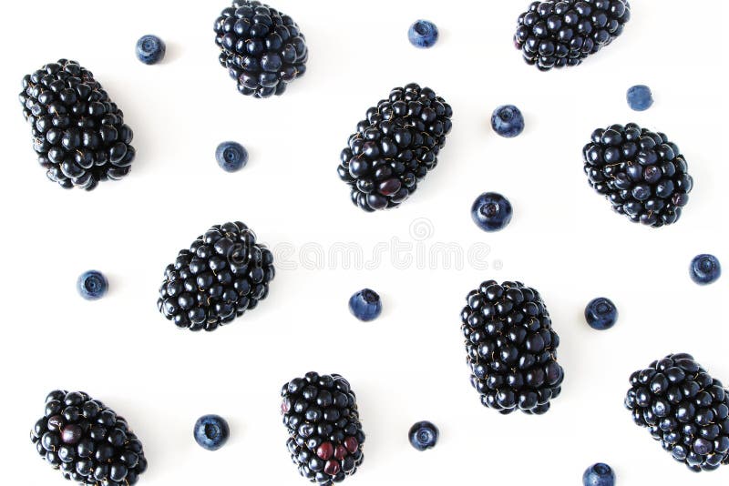 Gestileerde voorraadfoto Samenstelling van het de zomer de gezonde fruit met sappige die braambessen en bosbessen op witte lijst stock fotografie Gestileerde voorraadfoto Samenstelling van het de zomer de gezonde fruit met sappige die braambessen en bosbessen op witte lijst stock fotografie