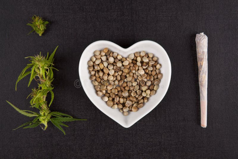 Gesunde Marihuanamedizin stockbild Gesunde Marihuanamedizin stockbild