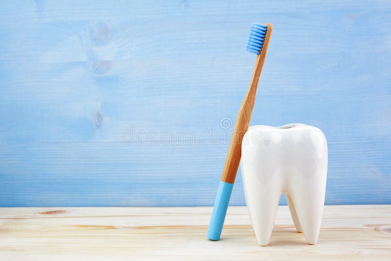 Gesunde Zähne Konzept, Zahnmodell mit Zahnbürste auf hölzernem blauem Hintergrund lizenzfreies stockbild