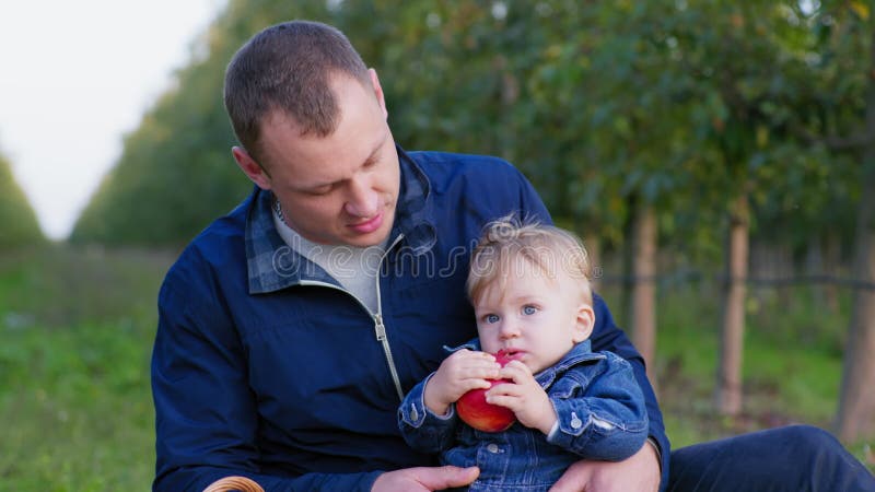 Gesundes Essen kleine männliche Kleinkind beißen große reife rote Apfel während sitzen in Väter Arme