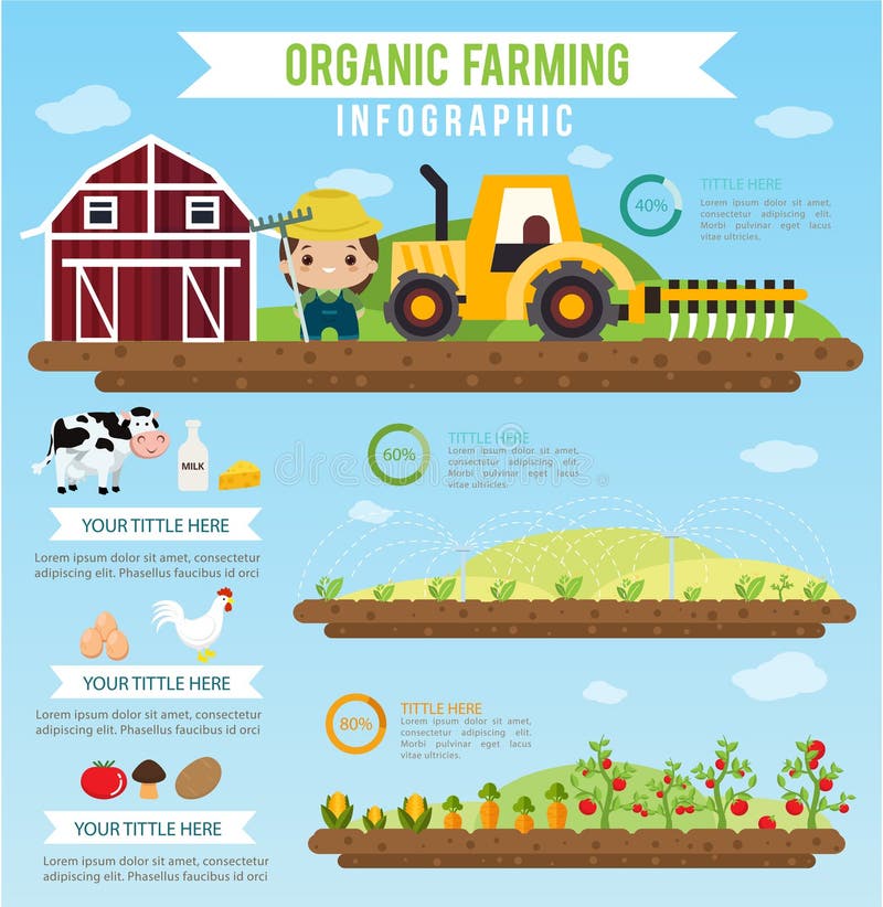Gesundes infographic der biologischen Landwirtschaft und des sauberen Lebensmittels lizenzfreie abbildung Gesundes infographic der biologischen Landwirtschaft und des sauberen Lebensmittels lizenzfreie abbildung