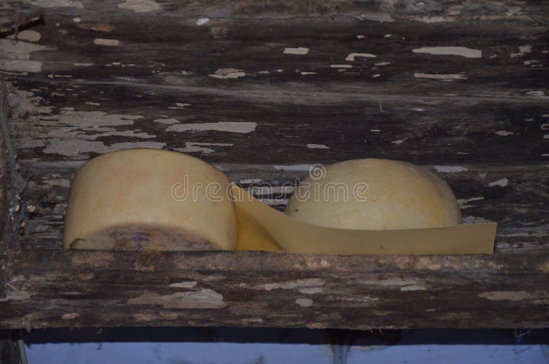 Getost fr?n Sardinia arkivfoton Getost fr?n Sardinia arkivfoton