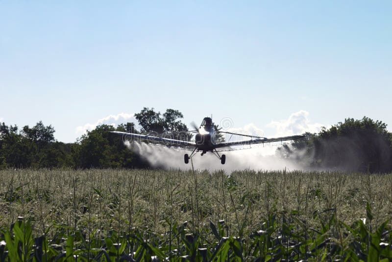 Getreide-Abstauben-Flugzeuge auf Mais-Feld