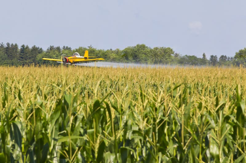 A agricultural plane dusts crops against a blue sky. A agricultural plane dusts crops against a blue sky