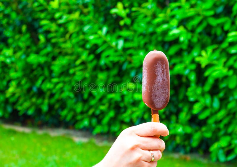 Getrennt auf einem wei?en Hintergrund stockbilder Getrennt auf einem wei?en Hintergrund stockbilder
