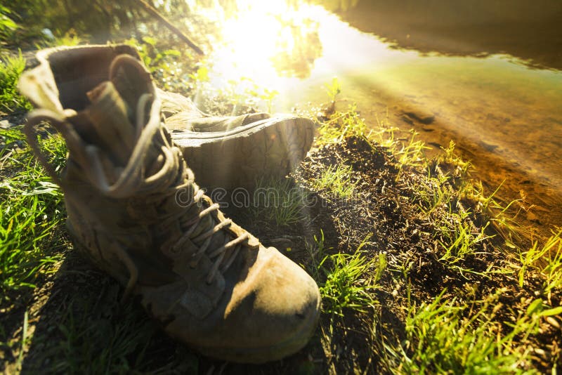Getrennt auf weißem Hintergrund lizenzfreies stockfoto