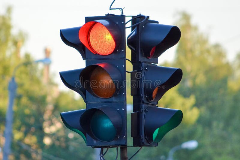 Getrennt auf weißem Hintergrund lizenzfreie stockfotos Getrennt auf weißem Hintergrund lizenzfreie stockfotos