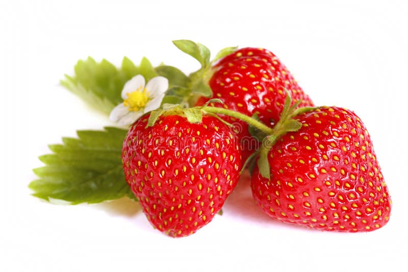 Getrennte Früchte - Erdbeeren stockbild Getrennte Früchte - Erdbeeren stockbild