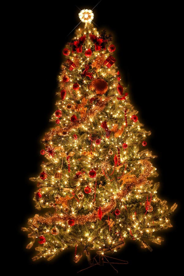 Getrennter Weihnachtsbaum lizenzfreies stockbild Getrennter Weihnachtsbaum lizenzfreies stockbild