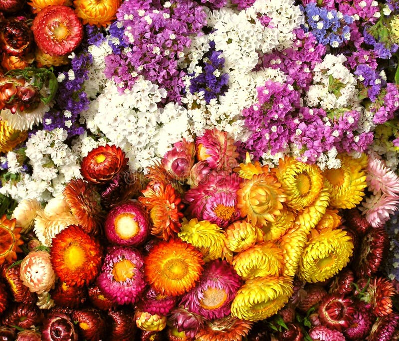 Schwebender Bilderrahmen 20,3x25,4cm - Doppelseitig Mit Glas Für Fotos & Getrocknete Blumen