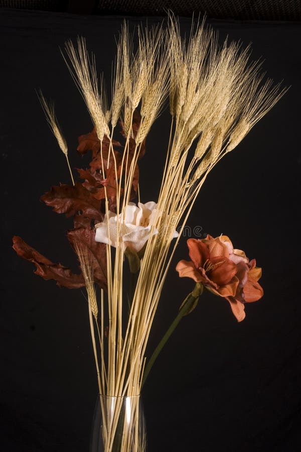 Getrocknete Blumenanordnung stockbilder Getrocknete Blumenanordnung stockbilder