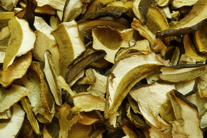 Getrocknete Pilze lizenzfreie stockbilder Getrocknete Pilze lizenzfreie stockbilder