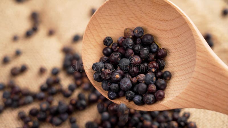 Getrocknete Wacholderbeeren, die aus einem Holzlöffel in Zeitlupe fallen