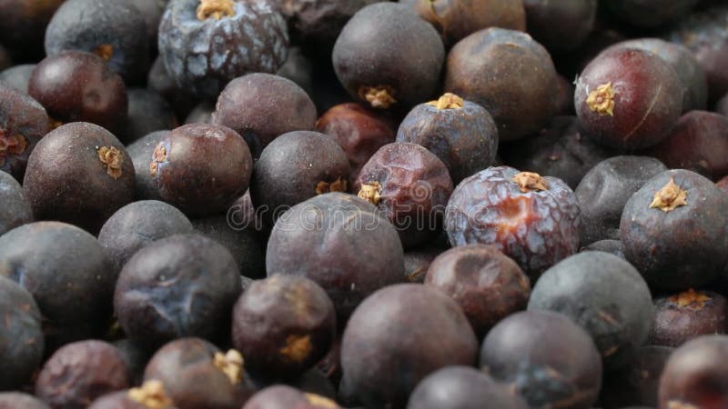 Getrocknete Wacholderbeeren eng auf vollen Rahmen als Hintergrund