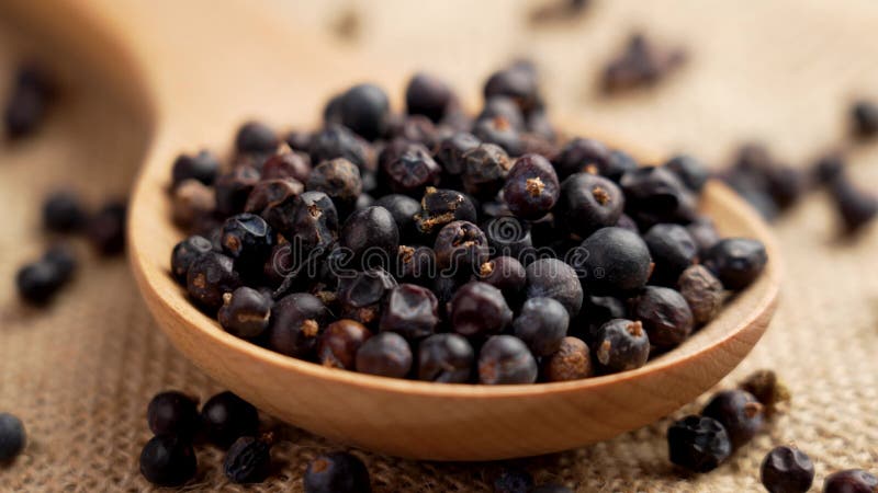 Getrocknete Wacholderbeeren in Holzlöffel auf einem rustikalen Sacktuch schließen.