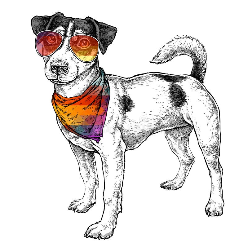 Getrokken de hand hipster stileert schets van leuk grappig Jack Russell Terrier in glazen en met bandana Vector illustratie royalty-vrije illustratie Getrokken de hand hipster stileert schets van leuk grappig Jack Russell Terrier in glazen en met bandana Vector illustratie royalty-vrije illustratie