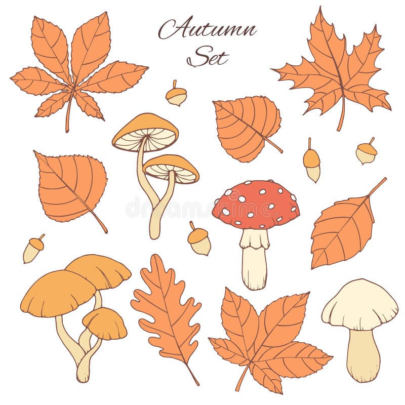 Getrokken de hand de vectorherfst plaatste met eik, populier, beuk, esdoorn, esp en paardekastanjebladeren, eikels en paddestoele stock illustratie Getrokken de hand de vectorherfst plaatste met eik, populier, beuk, esdoorn, esp en paardekastanjebladeren, eikels en paddestoele stock illustratie