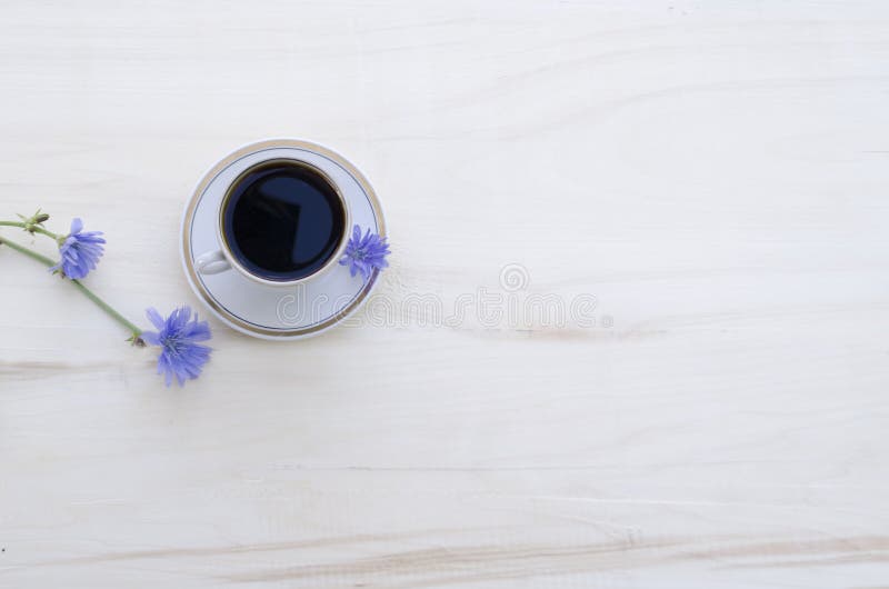 Getränkzichorie in einer weißen Schale und in blauen Blumen der Betriebszichorie auf einem weißen hölzernen Hintergrund lizenzfreie stockfotos Getränkzichorie in einer weißen Schale und in blauen Blumen der Betriebszichorie auf einem weißen hölzernen Hintergrund lizenzfreie stockfotos