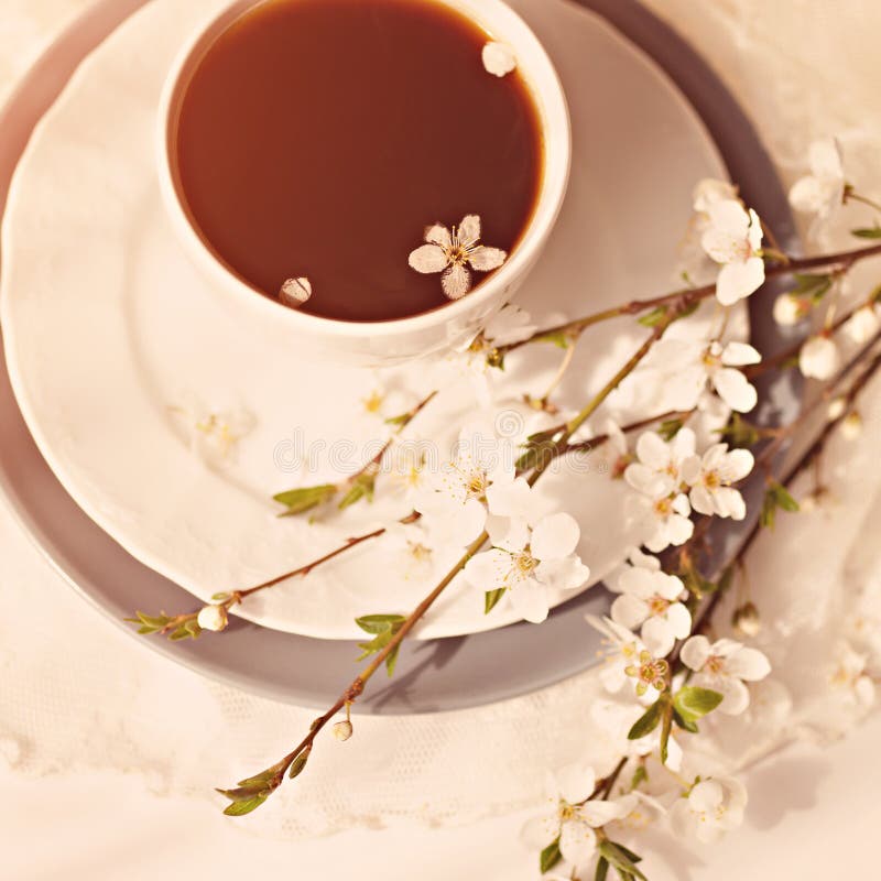 Gevoelig kersenboeket met kop van coffe/ stock foto Gevoelig kersenboeket met kop van coffe/ stock foto