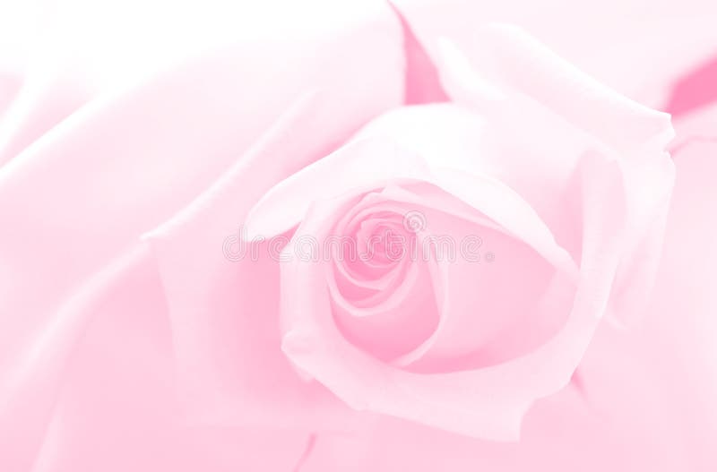 Gevoelig roze