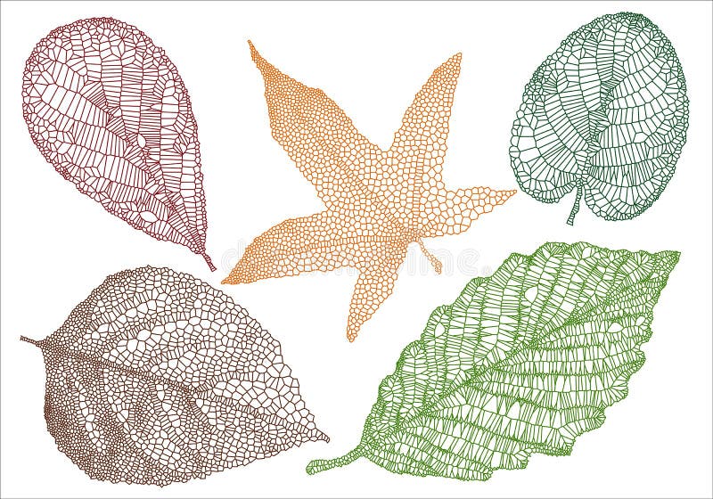 Geweven de herfstbladeren royalty-vrije illustratie Geweven de herfstbladeren royalty-vrije illustratie