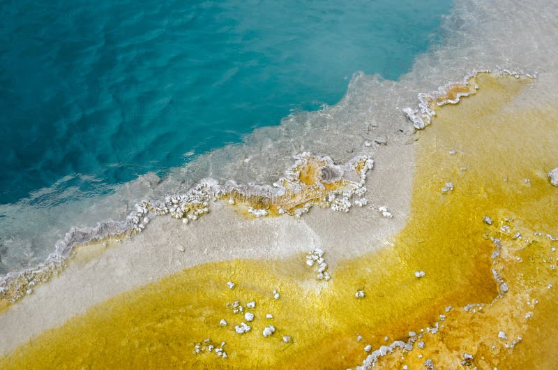 Geyser Basin in Yellowstone