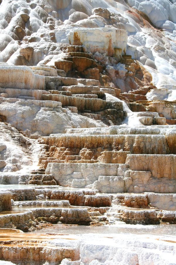 Geyser in Yellowstone national park