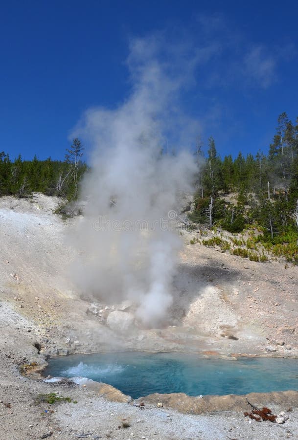Geyser σε Yellowstone, Ουαϊόμινγκ στοκ φωτογραφίες με δικαίωμα ελεύθερης χρήσης
