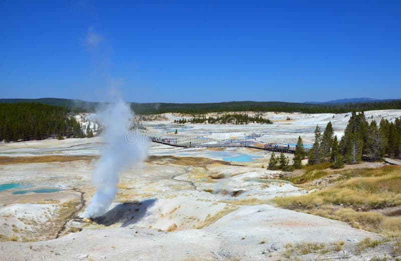 Geyser σε Yellowstone, Ουαϊόμινγκ στοκ φωτογραφίες με δικαίωμα ελεύθερης χρήσης