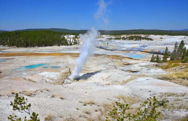 Geyser σε Yellowstone, Ουαϊόμινγκ στοκ εικόνες με δικαίωμα ελεύθερης χρήσης