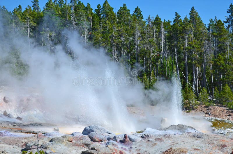 Geyser σε Yellowstone, Ουαϊόμινγκ στοκ φωτογραφίες με δικαίωμα ελεύθερης χρήσης
