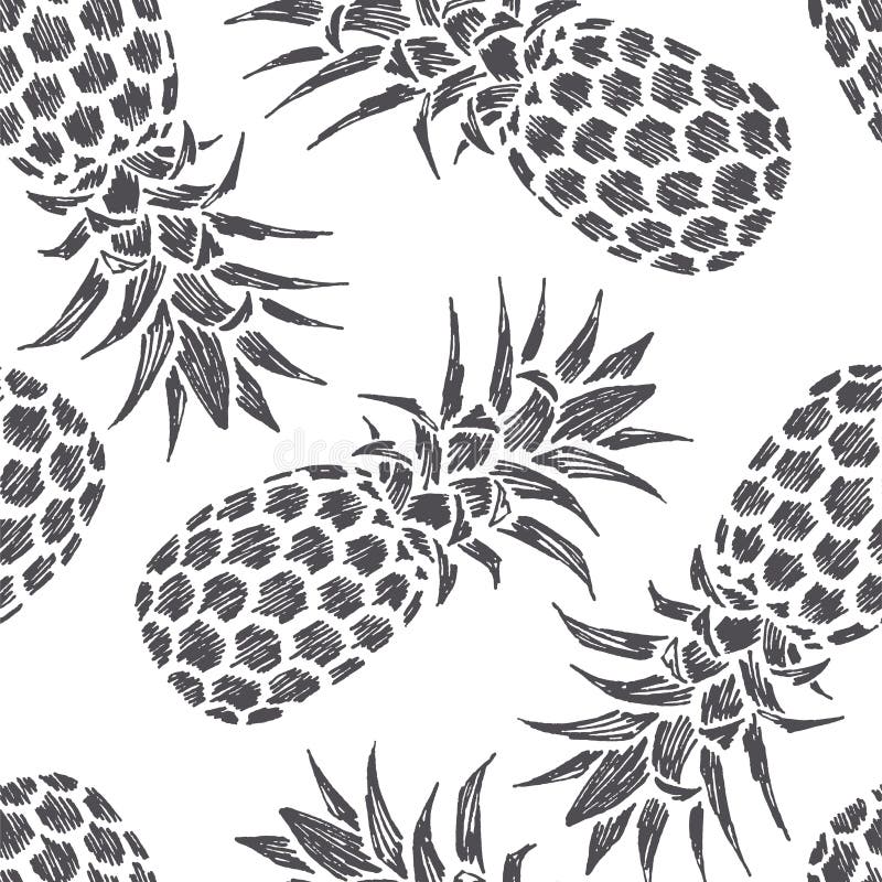 Gezeichnete Illustration der Weinlese Hand von Ananas Frische Sommerfrucht stock abbildung Gezeichnete Illustration der Weinlese Hand von Ananas Frische Sommerfrucht stock abbildung