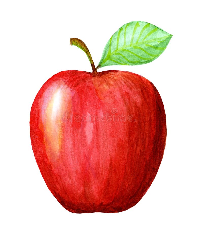 Gezeichneter roter Apfel des Aquarells Hand Lokalisierte eco Naturkost-Fruchtillustration auf wei?em Hintergrund stock abbildung Gezeichneter roter Apfel des Aquarells Hand Lokalisierte eco Naturkost-Fruchtillustration auf wei?em Hintergrund stock abbildung