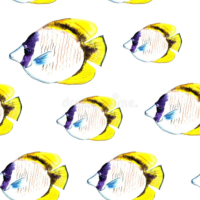 gezeichnetes Butterflyfishmuster stock abbildung gezeichnetes Butterflyfishmuster stock abbildung