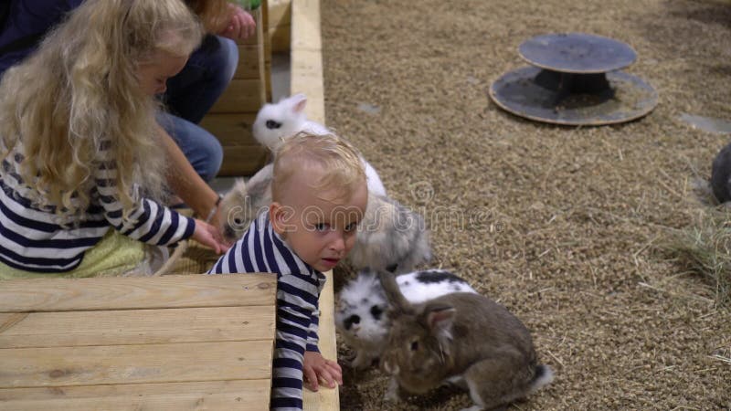 Gezinsvoerende konijnen op de boerderij Kinderen met mam die de dierentuin bezoekt Gimbal-beweging