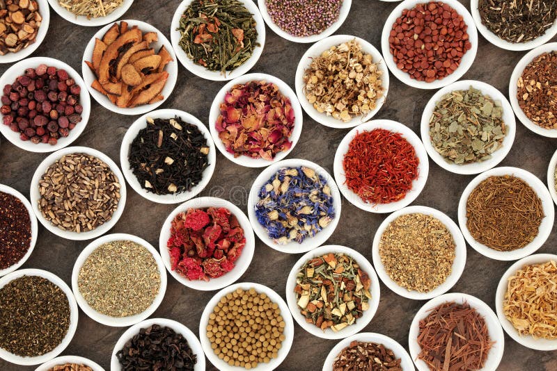 Gezond Herb Teas royalty-vrije stock fotografie Gezond Herb Teas royalty-vrije stock fotografie