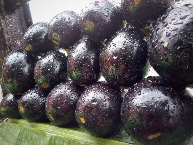 Gezonde Voedsel van de aubergine het Plantaardige Voeding royalty-vrije stock fotografie Gezonde Voedsel van de aubergine het Plantaardige Voeding royalty-vrije stock fotografie